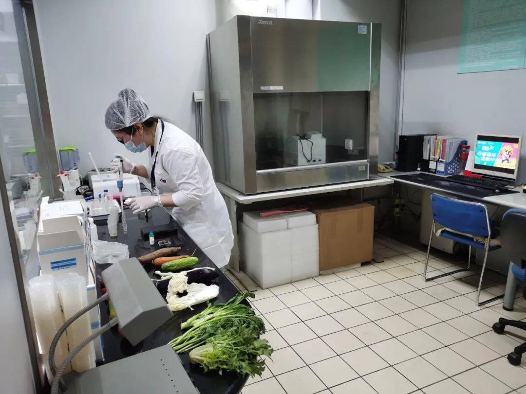 南江食品检测实验室装修方案